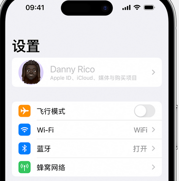 向阳appleID维修服务iPhone设置中Apple ID显示为灰色无法使用 