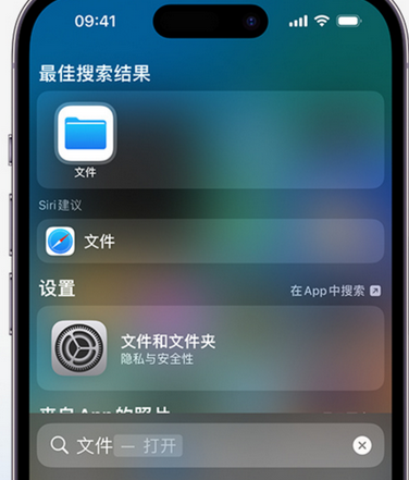 向阳apple维修中心分享iPhone文件应用中存储和找到下载文件 