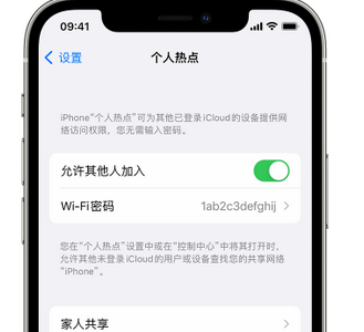 向阳apple服务站点分享iPhone上个人热点丢失了怎么办 