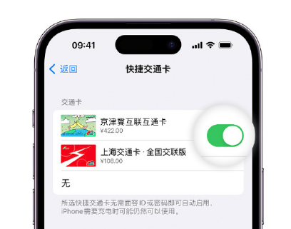 向阳apple维修点分享iPhone上更换Apple Pay快捷交通卡手绘卡面 