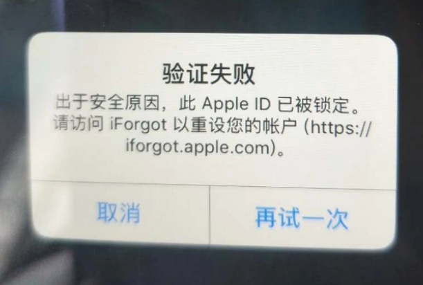 向阳iPhone维修分享iPhone上正常登录或使用AppleID怎么办 