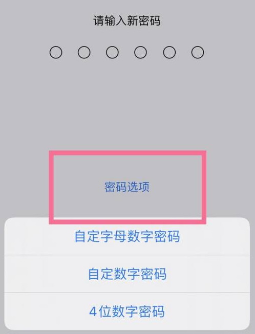 向阳苹果14维修分享iPhone 14plus设置密码的方法 