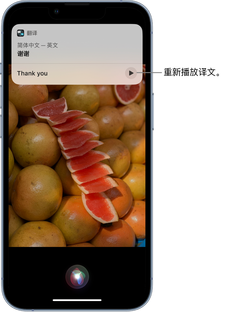 向阳苹果14维修分享 iPhone 14 机型中使用 Siri：了解 Siri 能帮你做什么 