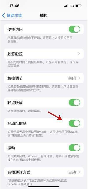 向阳苹果手机维修分享iPhone手机如何设置摇一摇删除文字 