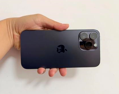 向阳苹果维修点分享iPhone 14 Pro Max发烫多重诱因剖析 